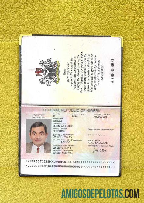 Passaporte da Nigéria (2007 2019) Visual fotográfico exemplo